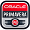 Primavera P6 EPPM